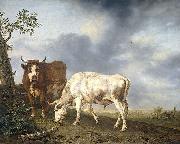 Jan Kobell Oxen in the meadow oil painting artist